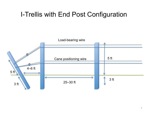 Design of I-trellis with end posts and wires.